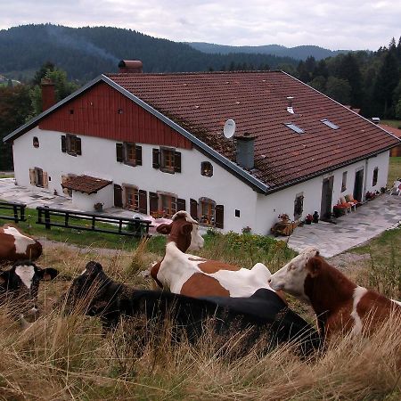 Appartement La Timoniere Gerardmer Luaran gambar