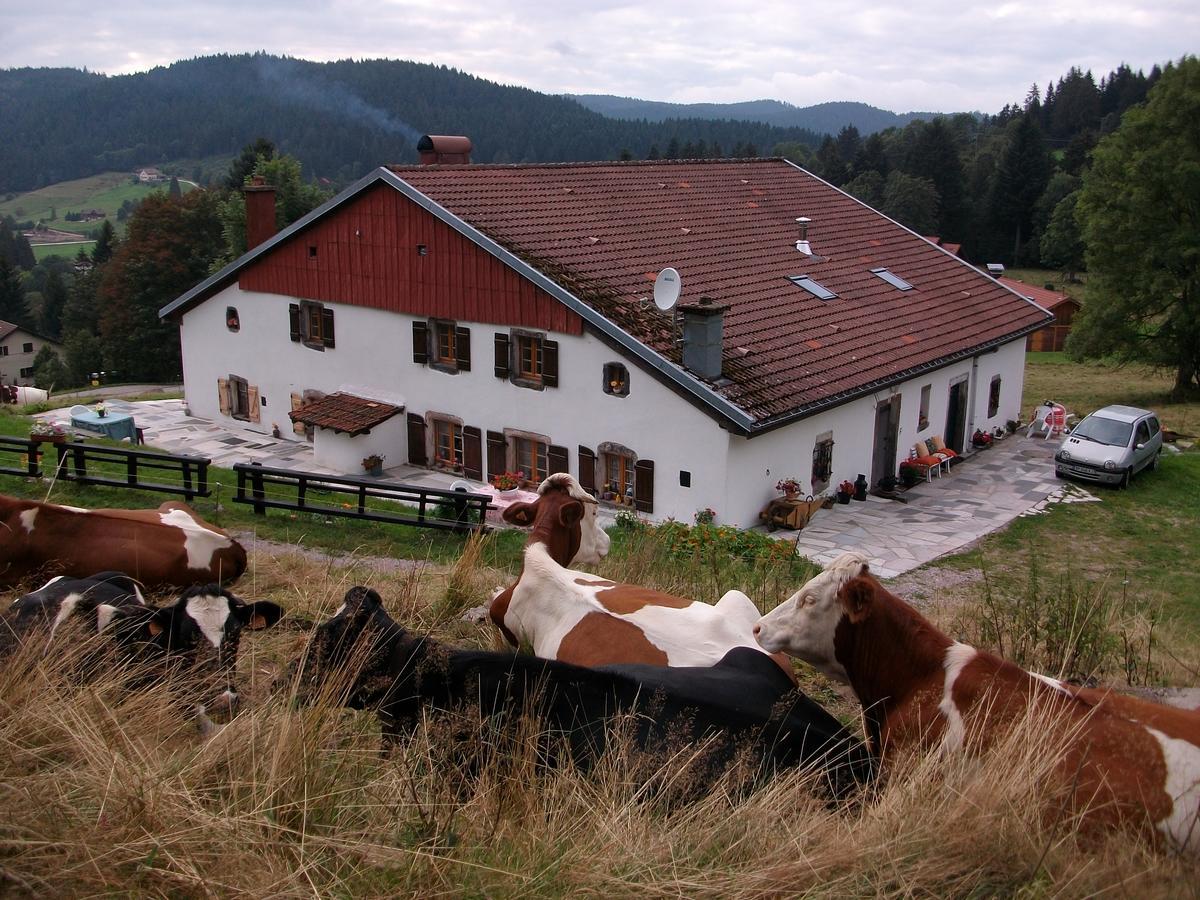 Appartement La Timoniere Gerardmer Luaran gambar