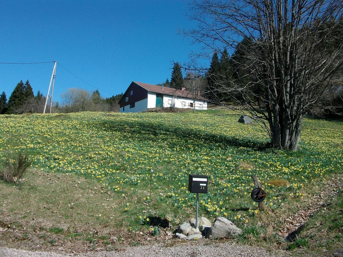 Appartement La Timoniere Gerardmer Luaran gambar