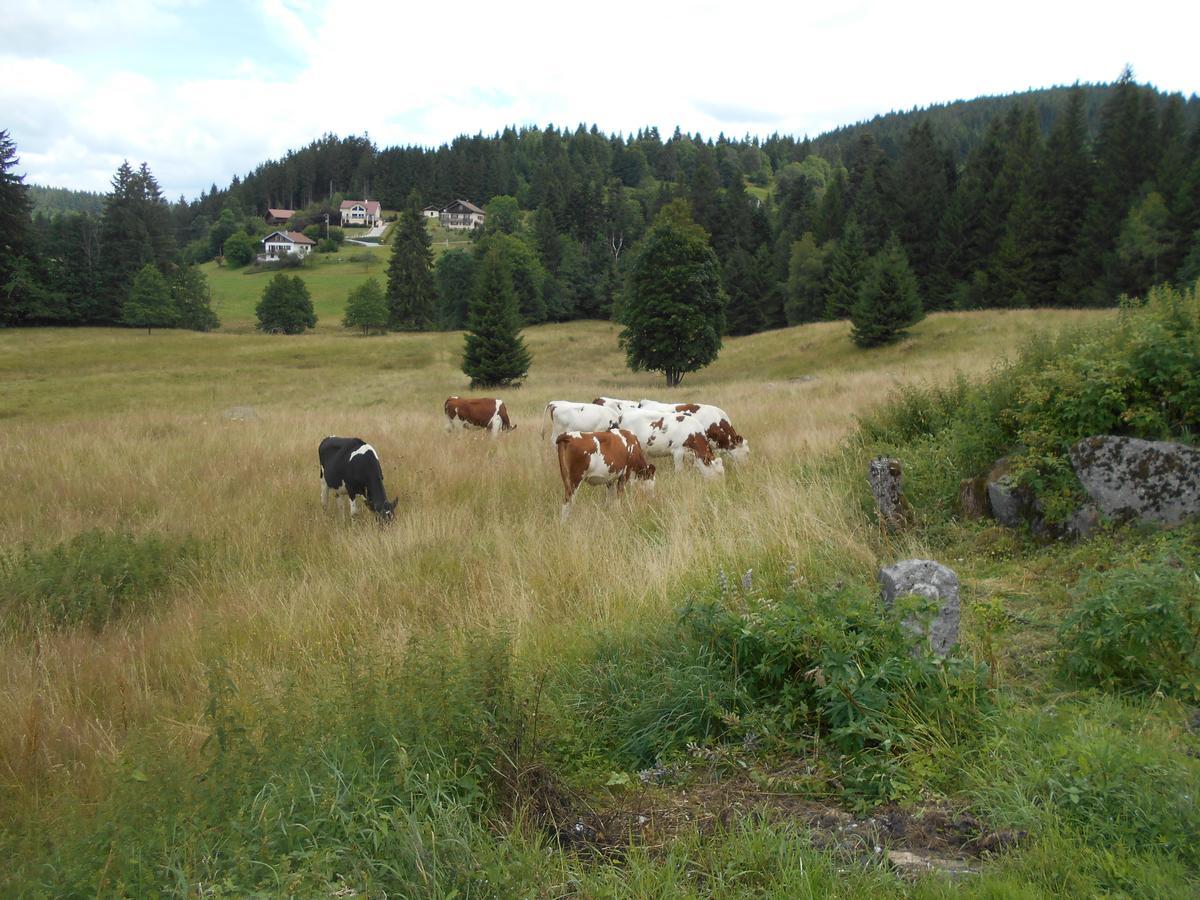 Appartement La Timoniere Gerardmer Luaran gambar