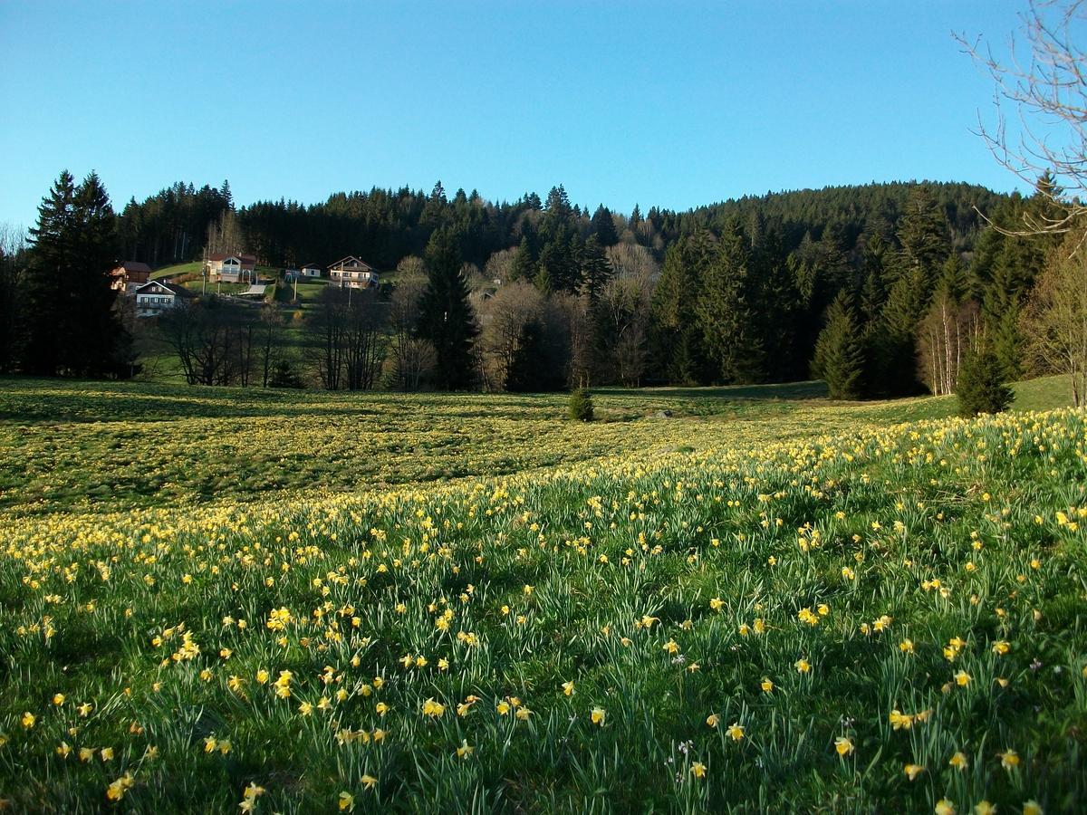 Appartement La Timoniere Gerardmer Luaran gambar